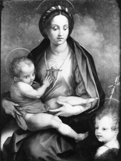 Madonna col Bambino e San Giovanni da Andrea del Sarto